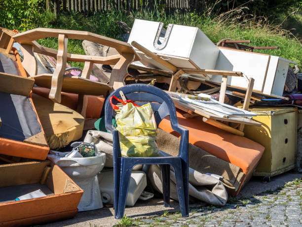Best Yard Cleanup Services  in Thoreau, NM